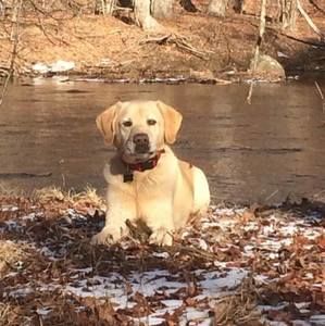 Meet your Posher, Corey